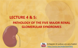 1. Nephrotic Syndrome (Nephrosis)