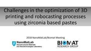 Challenges in the Optimization of 3D Printing of Zirconia Based Pastes By
