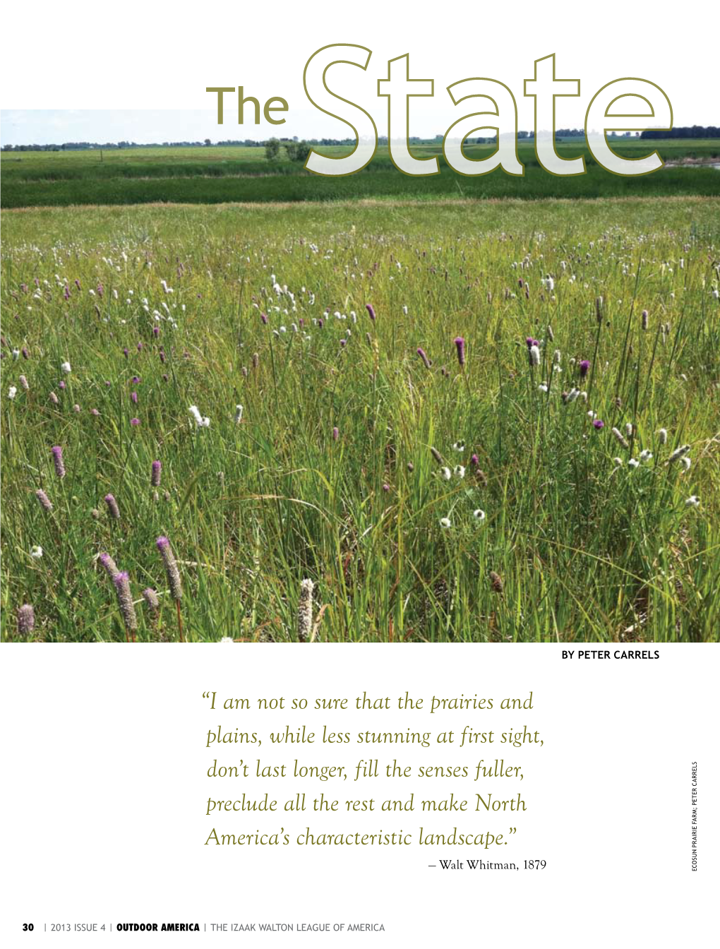 The State and Fate of Prairie