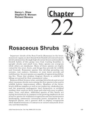 Rosaceous Shrubs