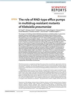 The Role of RND-Type Efflux Pumps in Multidrug-Resistant Mutants