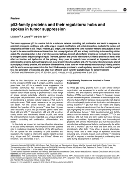 P53-Family Proteins and Their Regulators: Hubs and Spokes in Tumor Suppression