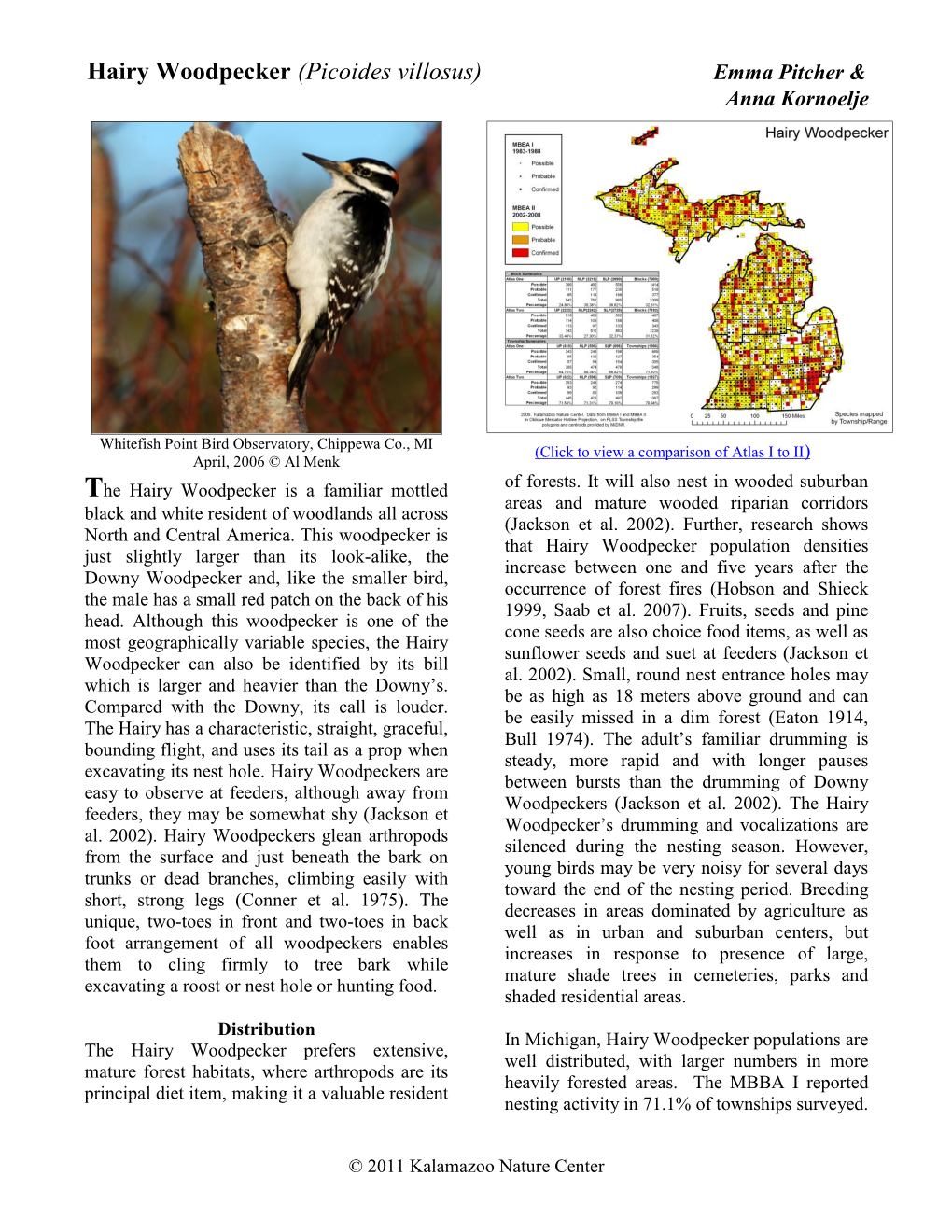 Hairy Woodpecker (Picoides Villosus) Emma Pitcher & Anna Kornoelje