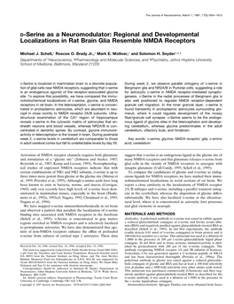 Localizations in Rat Brain Glia Resemble NMDA Receptors