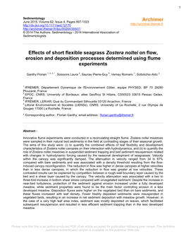 Effects of Short Flexible Seagrass Zostera Noltei on Flow, Erosion and Deposition Processes Determined Using Flume Experiments