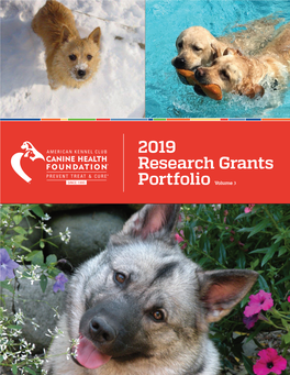 2019 Research Grants Portfolio Volume 3