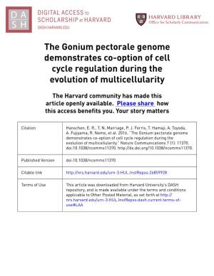 The Gonium Pectorale Genome Demonstrates Co-Option of Cell Cycle Regulation During the Evolution of Multicellularity