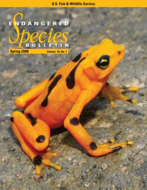Endangered Species Bulletin, Spring 2008, "Year of the Frog"