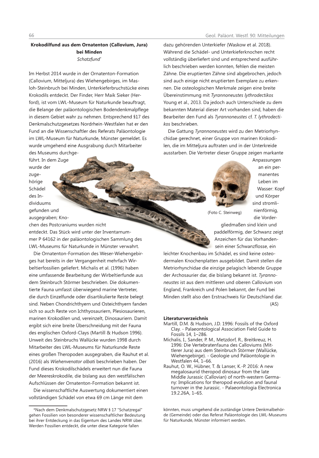 Geologie Und Paläontologie in Westfalen