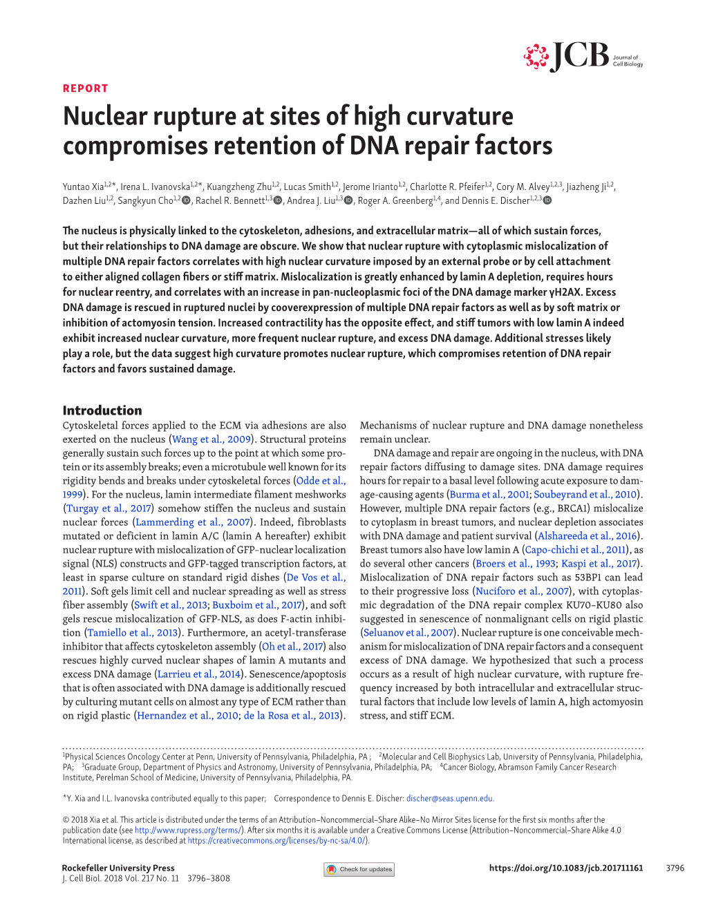 Nuclear Rupture at Sites of High Curvature Compromises Retention of DNA Repair Factors