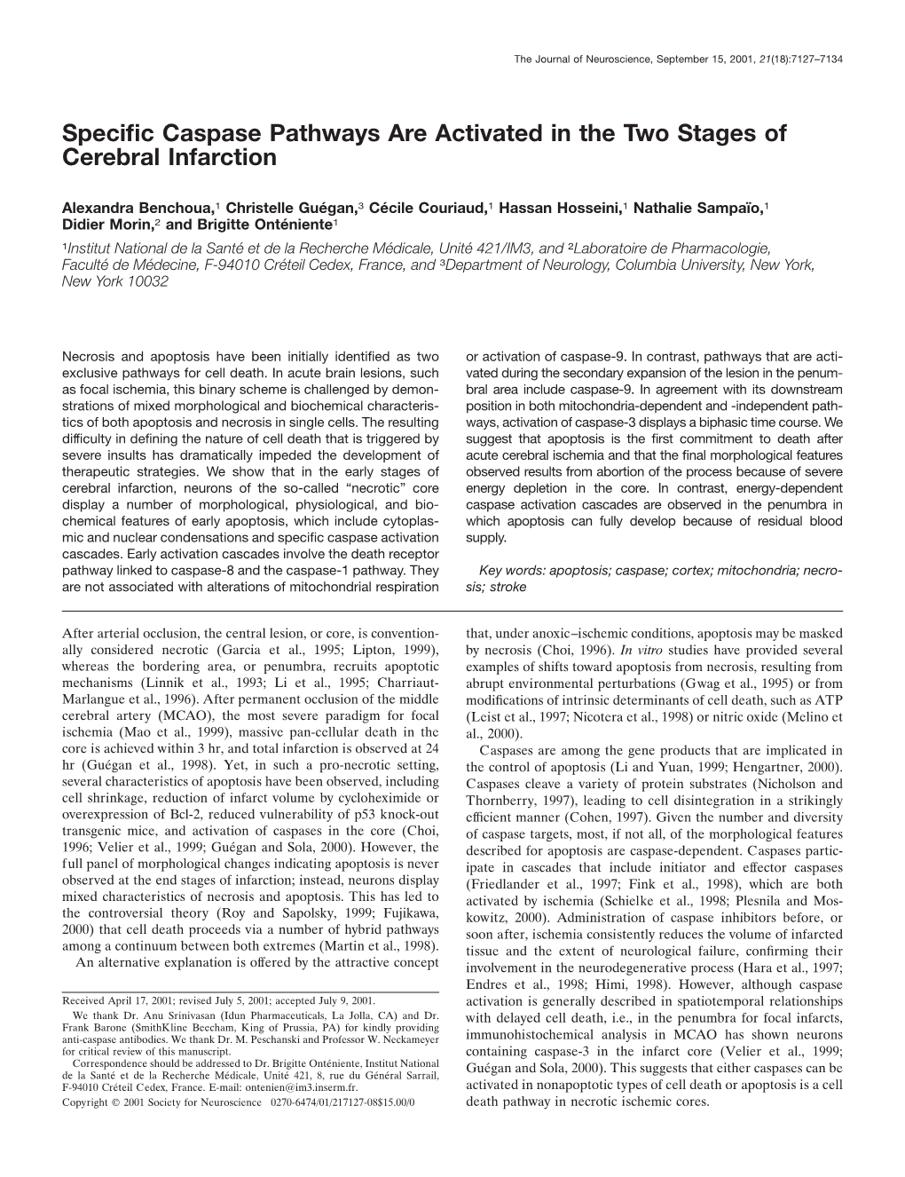 Specific Caspase Pathways Are Activated in the Two Stages of Cerebral Infarction