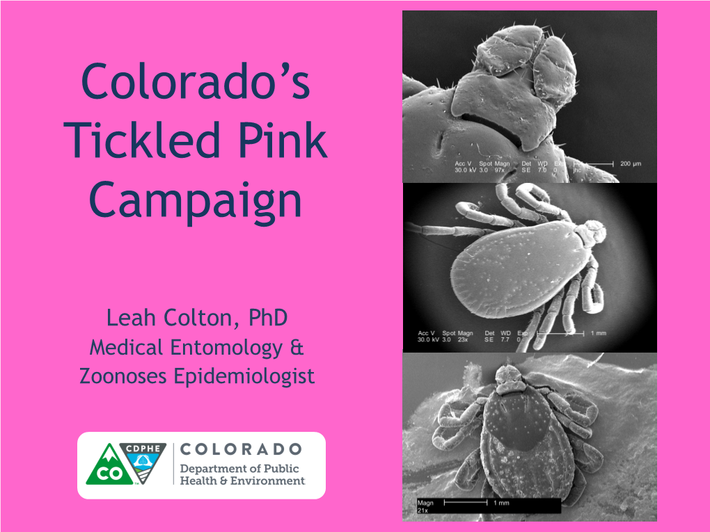 Colorado's Tickled Pink Campaign