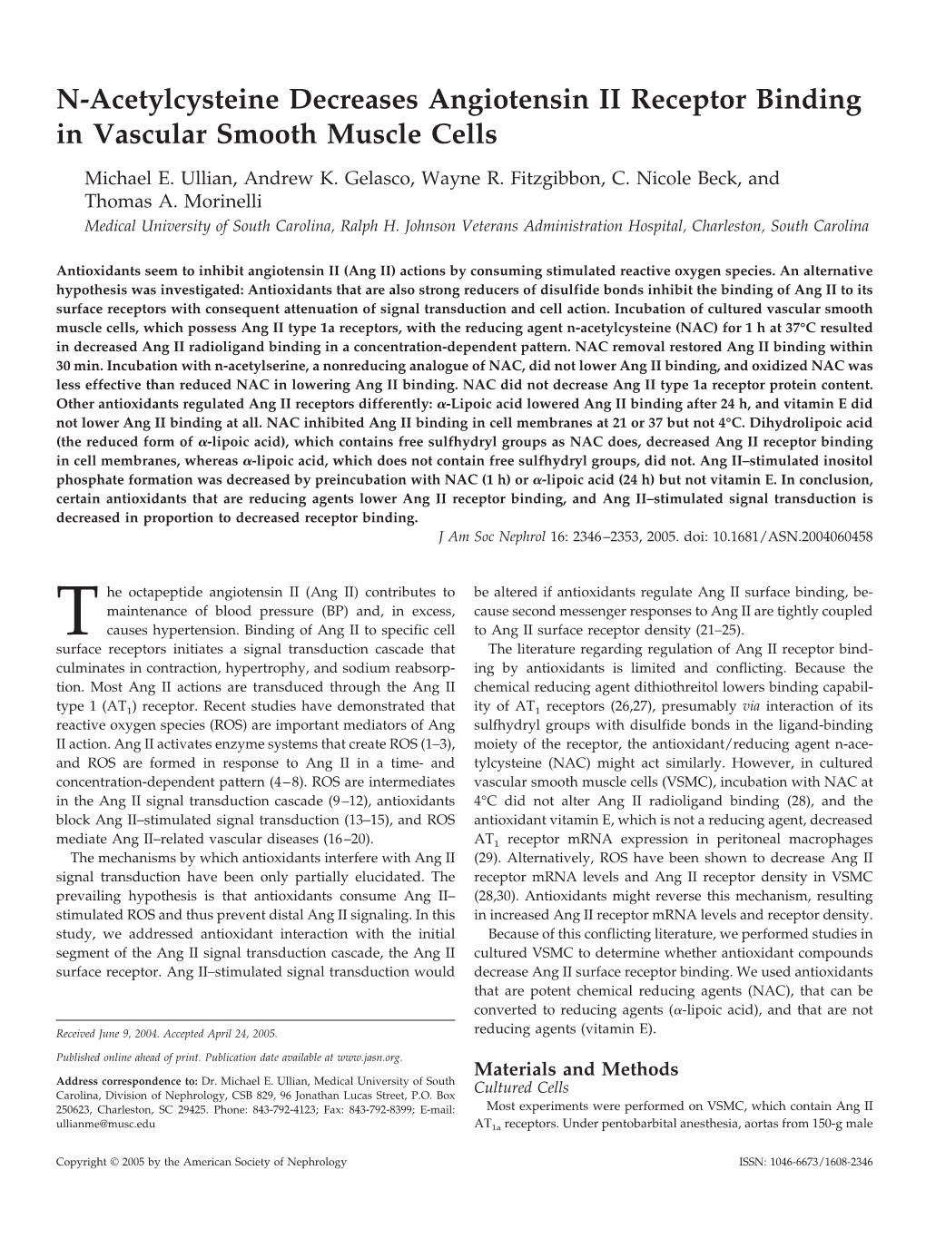 N-Acetylcysteine Decreases Angiotensin II Receptor Binding in Vascular Smooth Muscle Cells