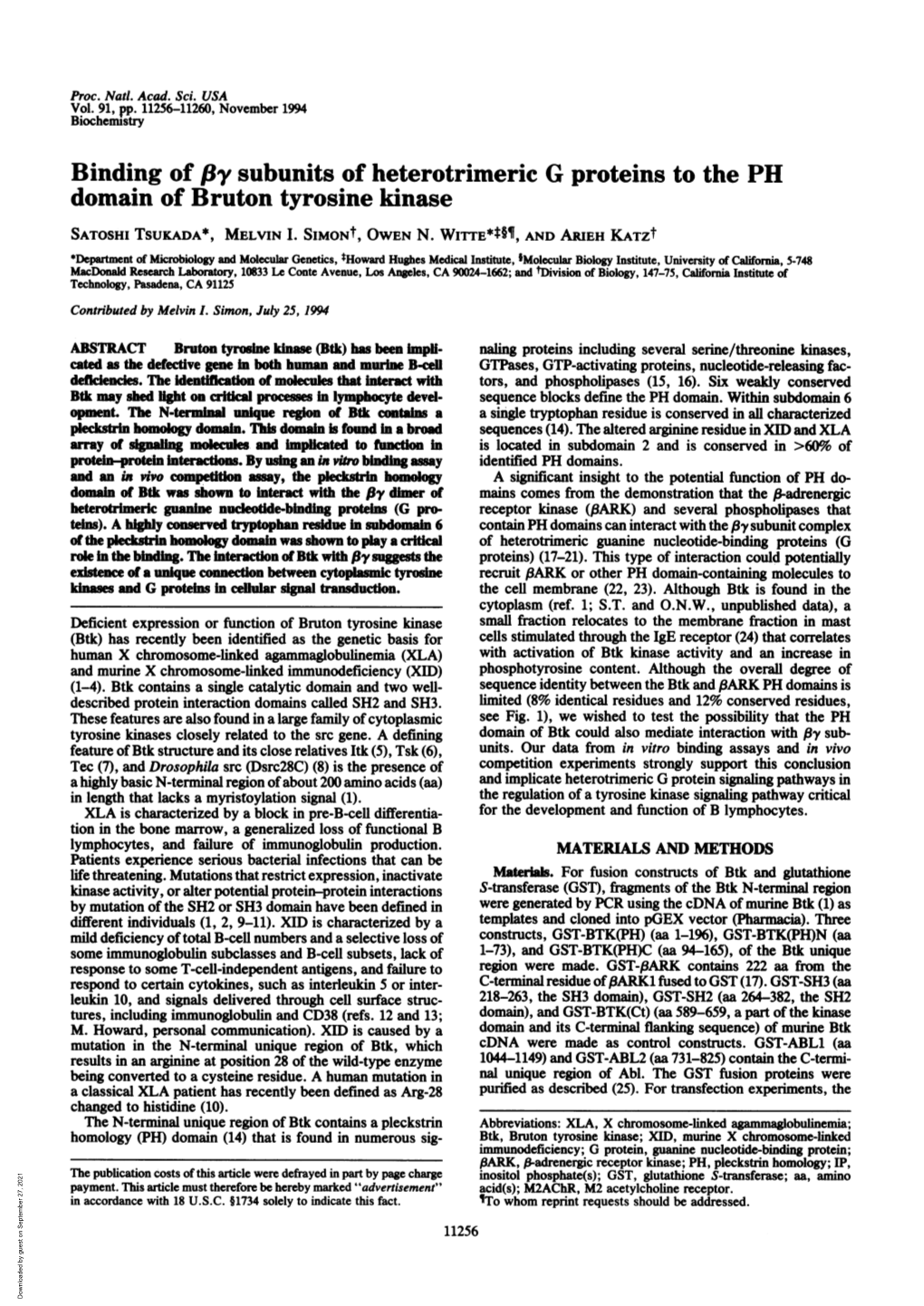 Domain of Bruton Tyrosine Kinase SATOSHI TSUKADA*, MELVIN I