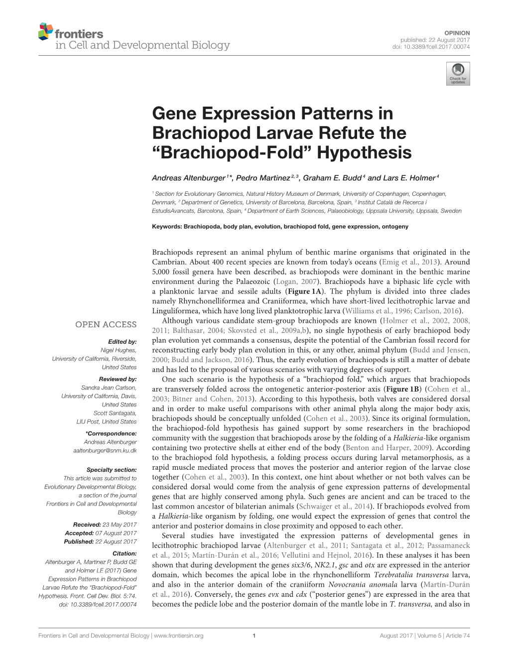 Gene Expression Patterns in Brachiopod Larvae Refute the “Brachiopod-Fold” Hypothesis