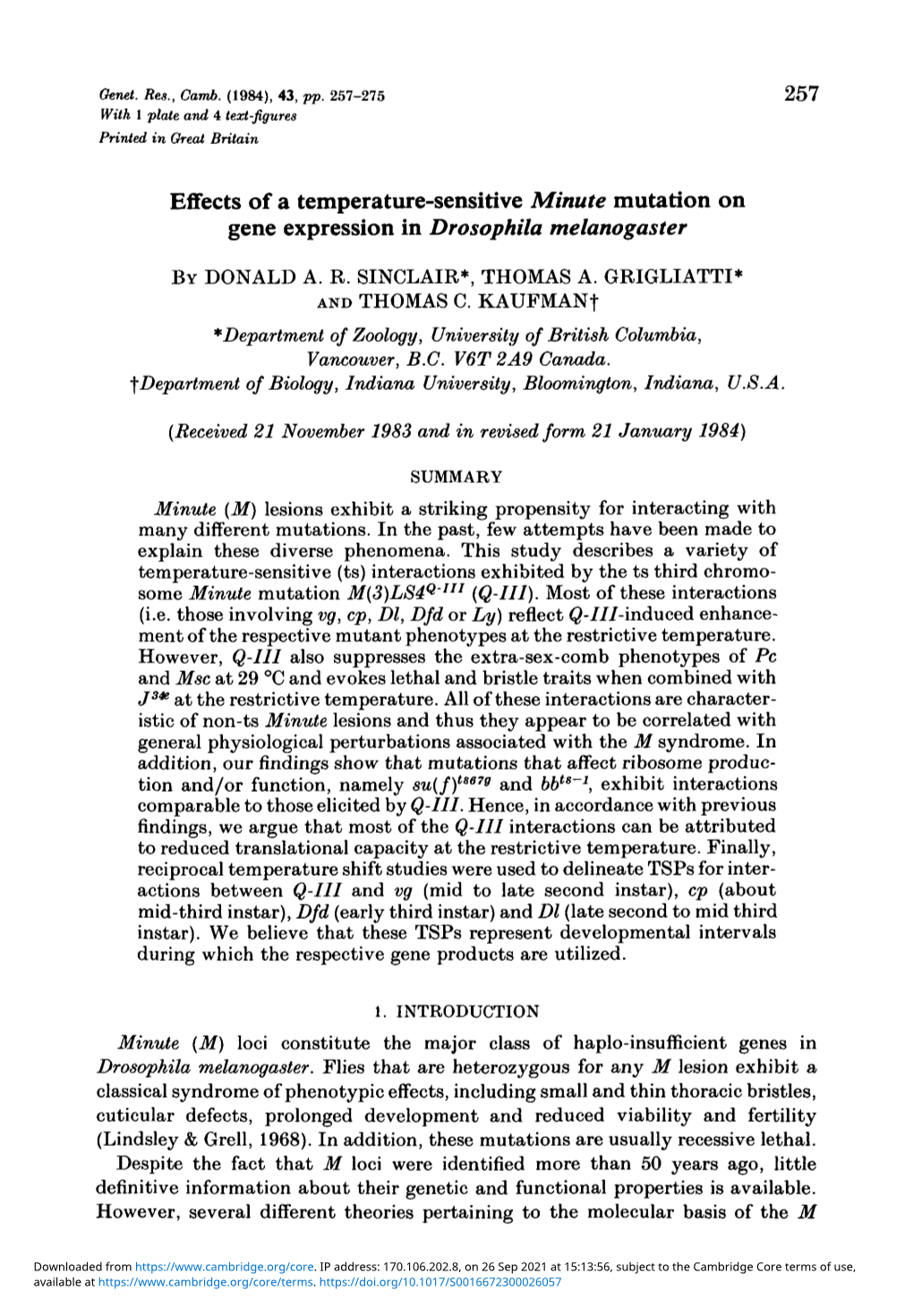 Effects of a Temperature-Sensitive Minute Mutation on Gene Expression in Drosophila Melanogaster