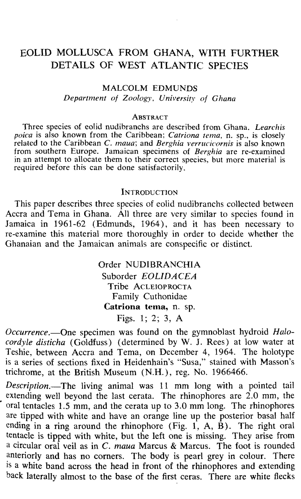 Eolid Mollusca from Ghana, with Further Details of West Atlantic Species