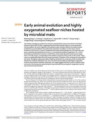 Early Animal Evolution and Highly Oxygenated Seafloor Niches Hosted
