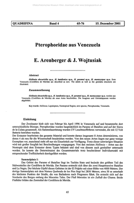 Pterophoridae Aus Venezuela E. Arenberger & J. Wojtusiak
