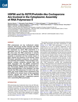 HSP90 and Its R2TP/Prefoldin-Like Cochaperone Are Involved in the Cytoplasmic Assembly of RNA Polymerase II