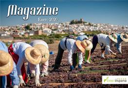Boletín – Magazine Rutas Del Vino De España. Enero 2020