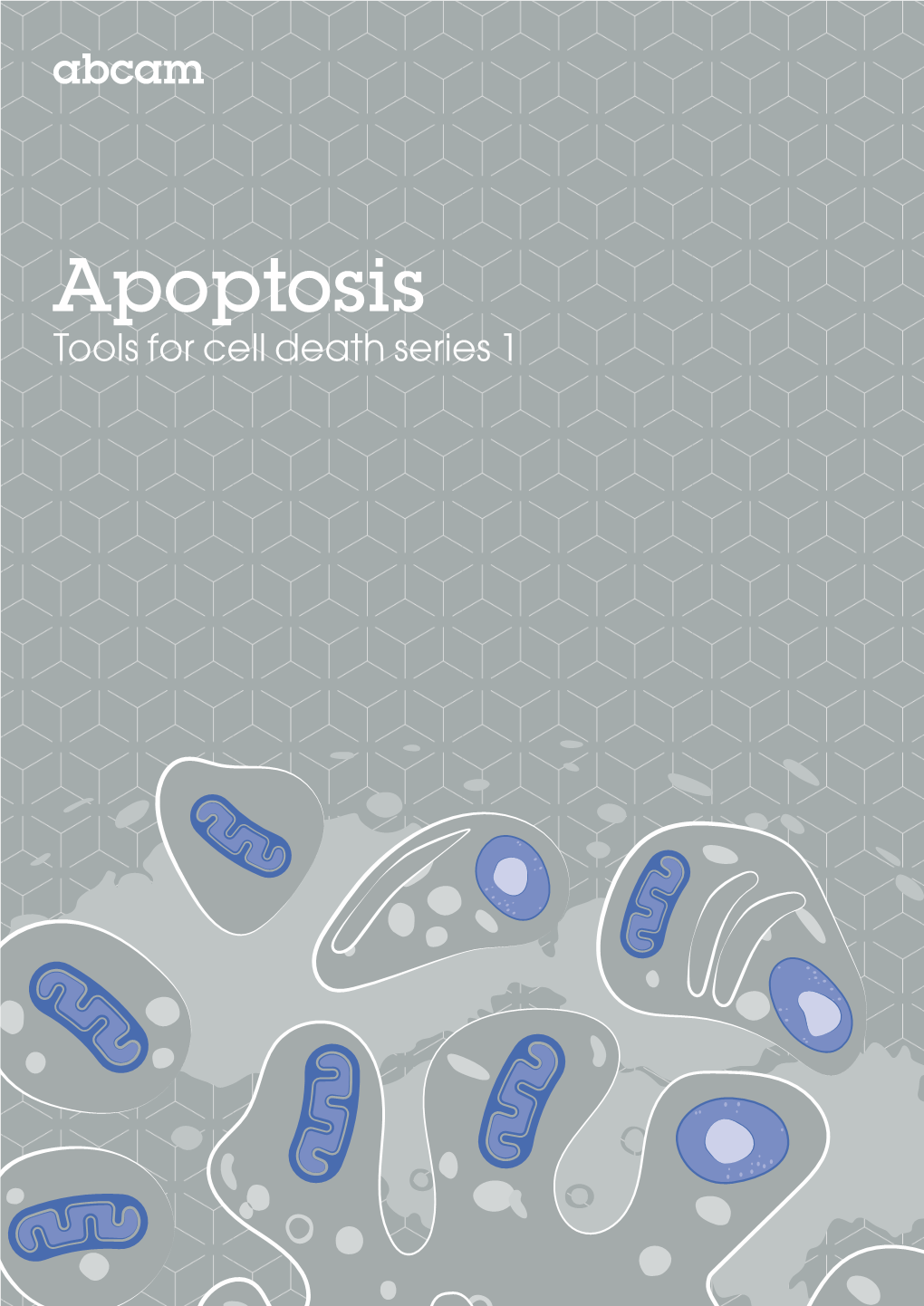 Apoptosis Tools for Cell Death Series 1 Contents