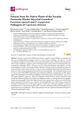 Extracts from Six Native Plants of the Yucatán Peninsula Hinder Mycelial Growth of Fusarium Equiseti and F