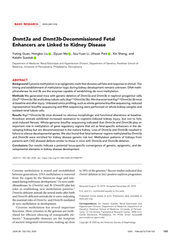 Dnmt3a and Dnmt3b-Decommissioned Fetal Enhancers Are Linked to Kidney Disease