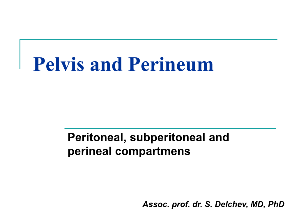 Peritoneal Cavity of Pelvis