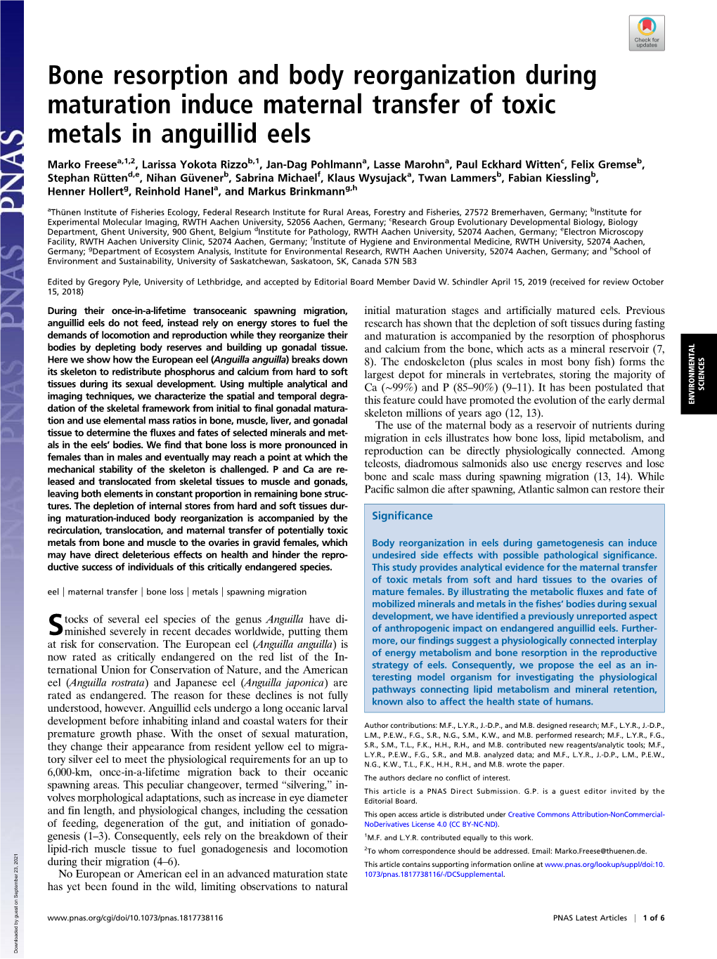 Bone Resorption and Body Reorganization During Maturation Induce Maternal Transfer of Toxic Metals in Anguillid Eels