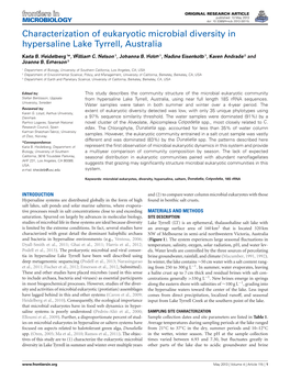 Characterization of Eukaryotic Microbial Diversity in Hypersaline Lake Tyrrell, Australia