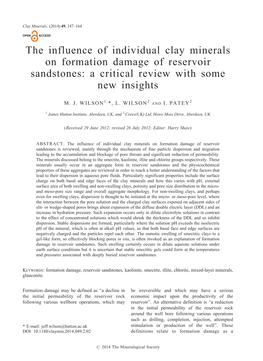 The Influence of Individual Clay Minerals on Formation Damage of Reservoir Sandstones: a Critical Review with Some New Insights