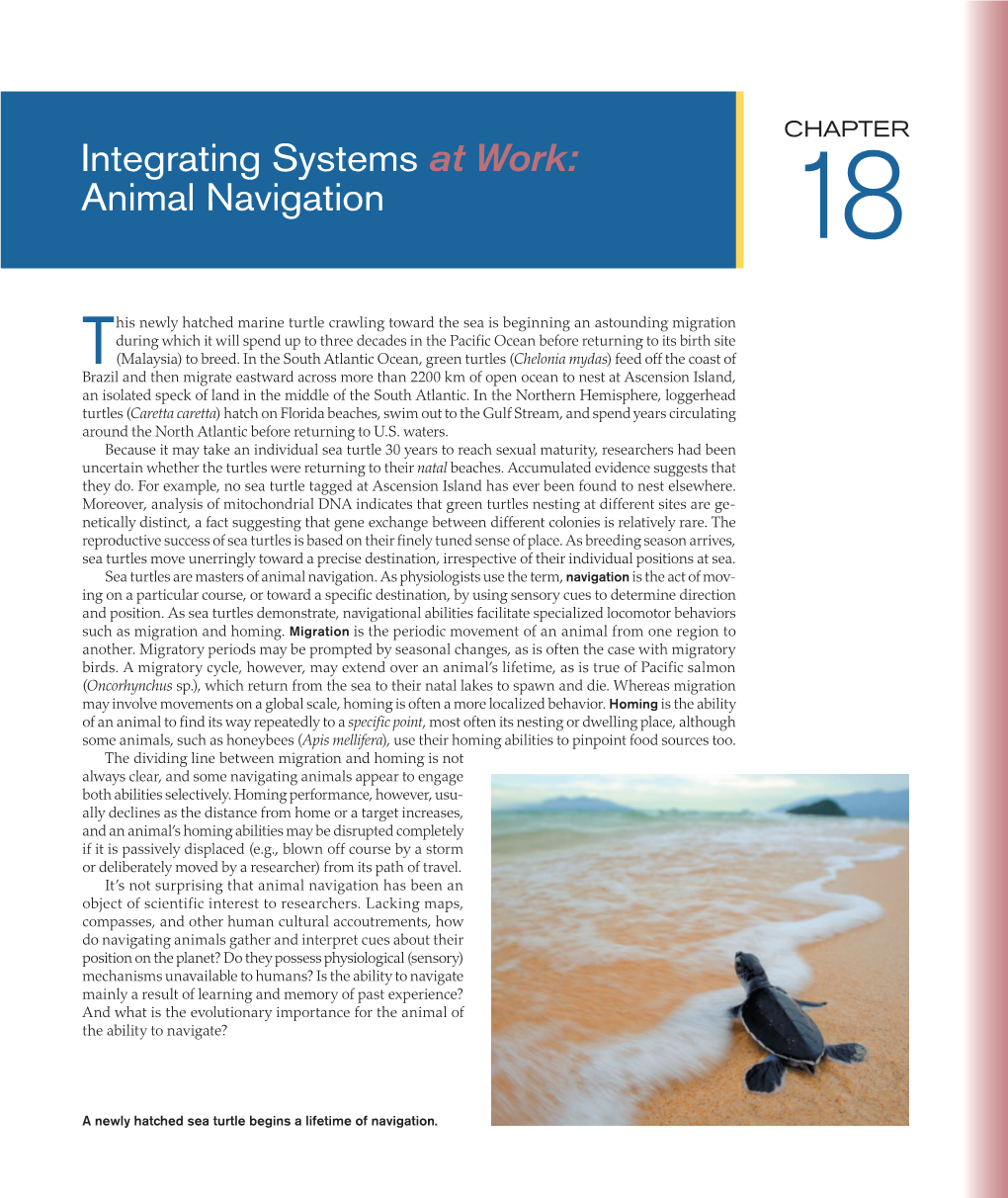 Integrating Systems at Work: Animal Navigation 18