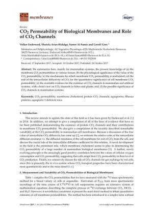 CO2 Permeability of Biological Membranes and Role of CO2 Channels