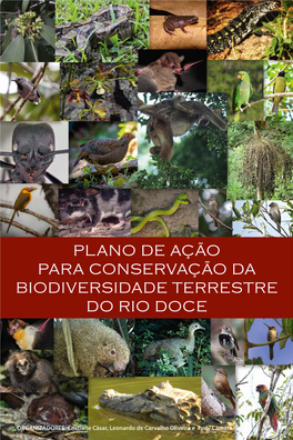 Plano De Ação Para Conservação Da Biodiversidade Terrestre Do Rio Doce