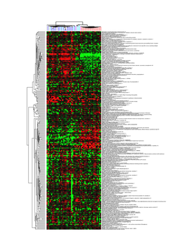 AF1Q ALL1-Fused Gene from Chromosome 1Q PPP2CB Protein