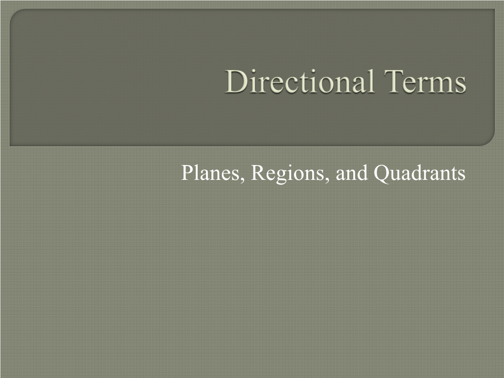 Planes, Regions, and Quadrants