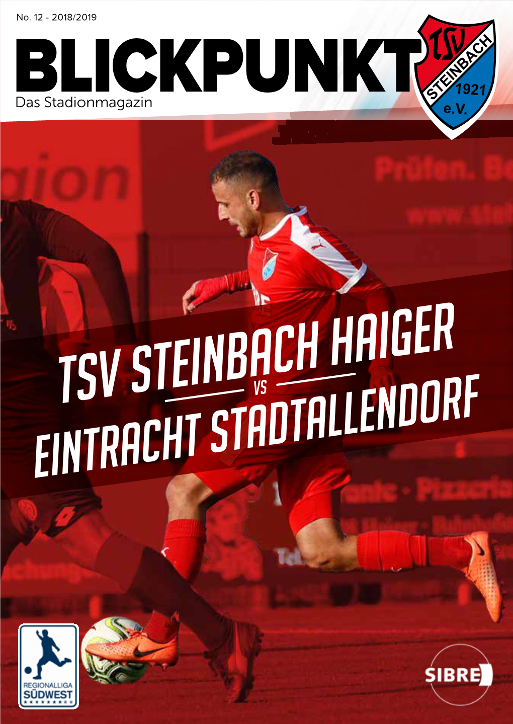 Tsv Steinbach Haiger Tsg Balingen Vs