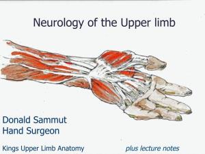 Neurology of the Upper Limb