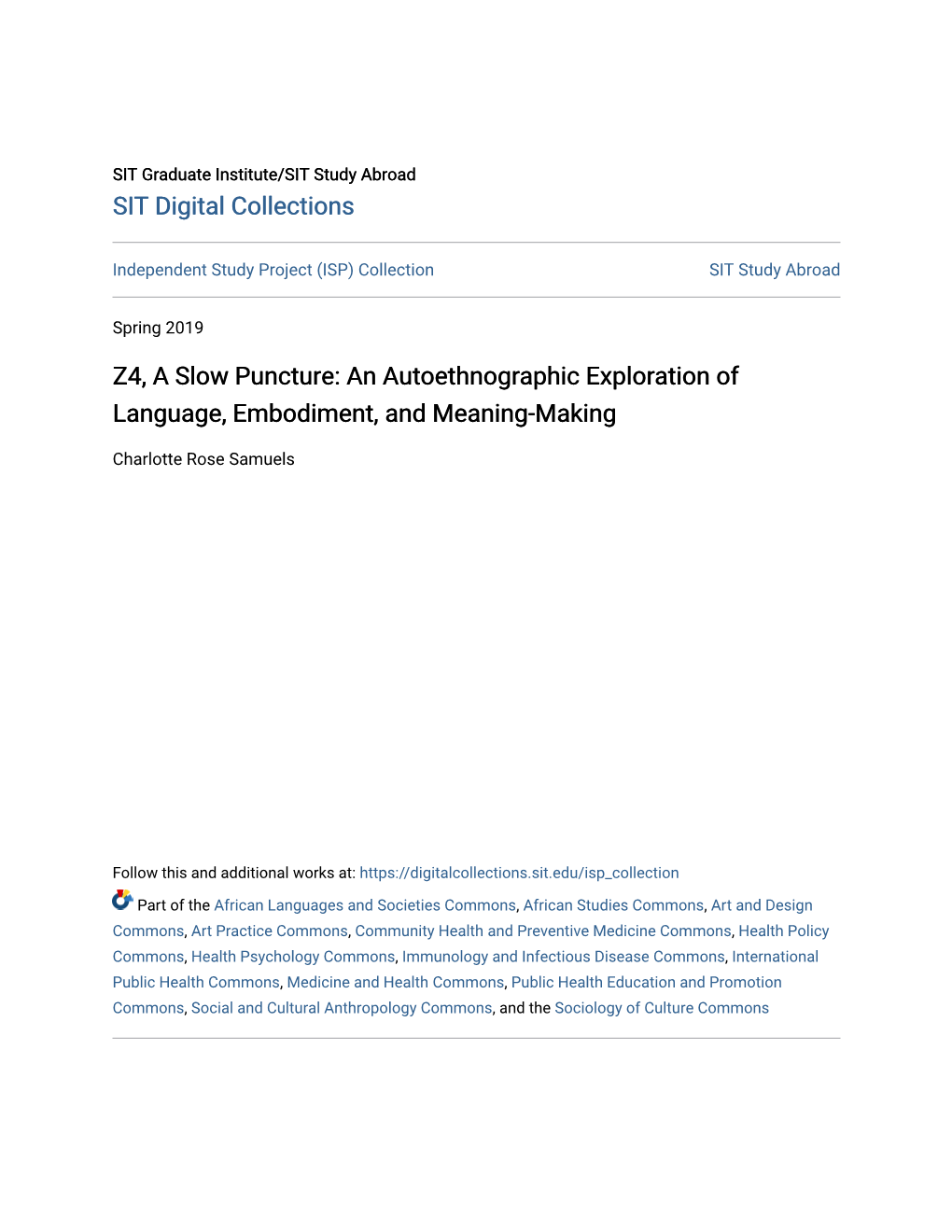 Z4, a Slow Puncture: an Autoethnographic Exploration of Language, Embodiment, and Meaning-Making