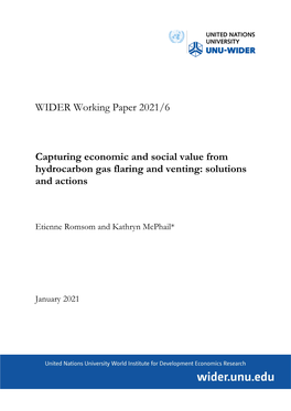 WIDER Working Paper 2021/6-Capturing Economic And