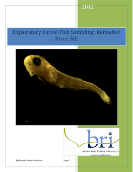 Exploratory Larval Fish Sampling: Kennebec River, ME
