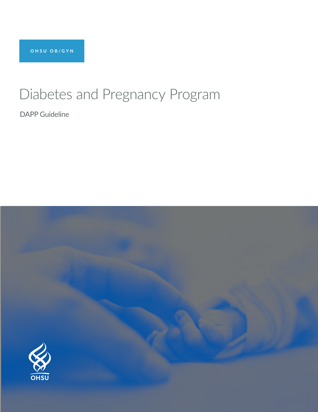 Diabetes and Pregnancy Program