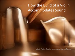 How the Build of a Violin Accommodates Sound