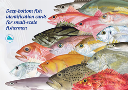 Deep-Bottom Fish Identification Cards for Small-Scale Fishermen (Updated