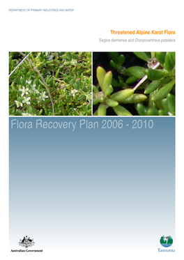 Flora Recovery Plan: Threatened Alpine Karst Flora: Oreoporanthera Petalifera and Sagina Diemensis 2006-2010. Department of Primary Industries and Water, Hobart