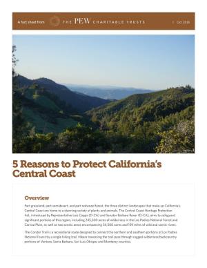 5 Reasons to Protect California's Central Coast