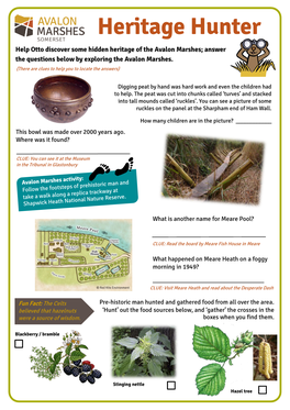 Heritage Hunter Help Otto Discover Some Hidden Heritage of the Avalon Marshes; Answer the Questions Below by Exploring the Avalon Marshes