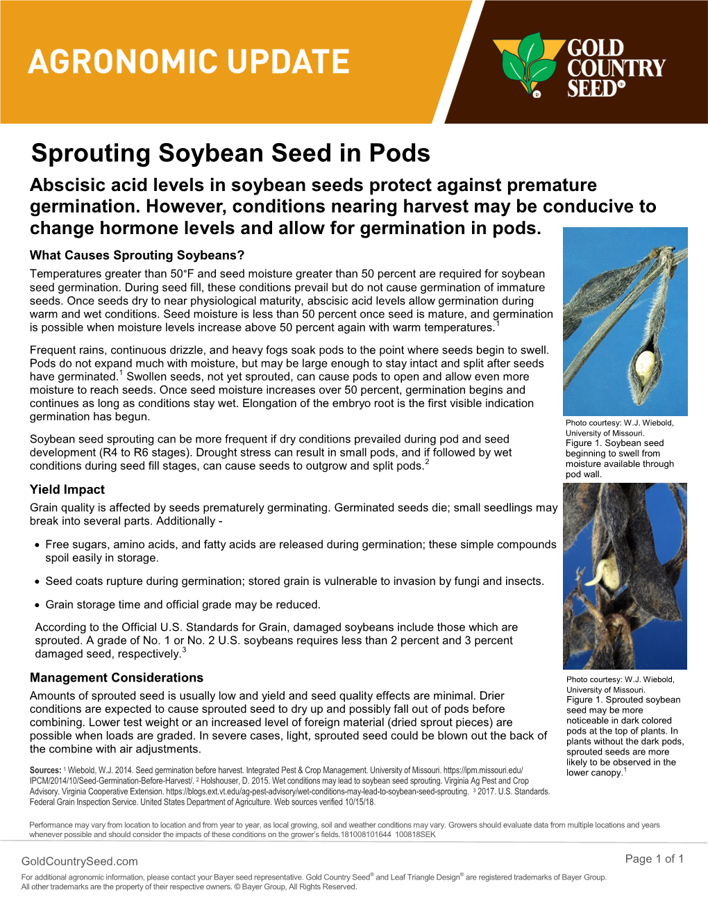 Sprouting Soybean Seed in Pods Abscisic Acid Levels in Soybean Seeds Protect Against Premature Germination