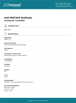 Anti HIST3H3 Antibody Catalog No: Tcsa23802